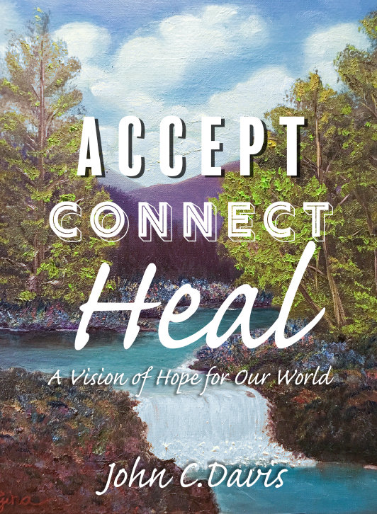 Accept Connect Heal book